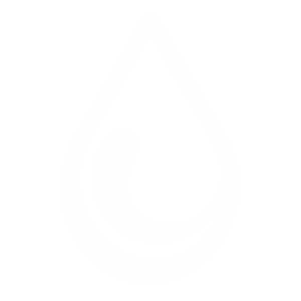 Jornadas Microdosis & Transformación